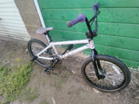 1995 mongoose menace